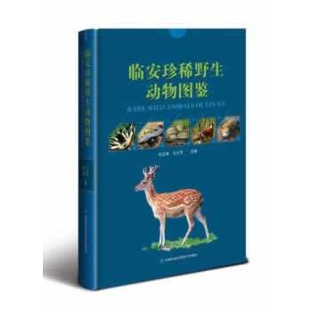 �R����ϡҰ������D�b