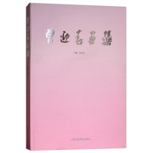 ��ӭ������