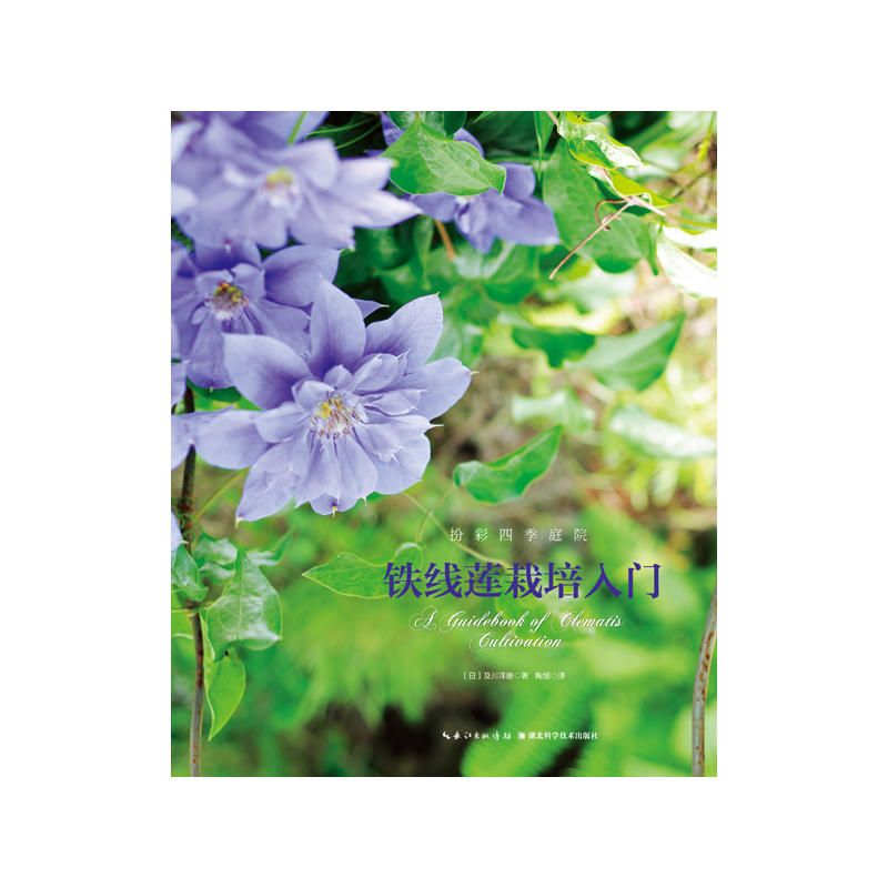 �F��ɏ�������T