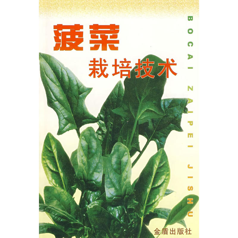 菠菜栽培技術(shù)