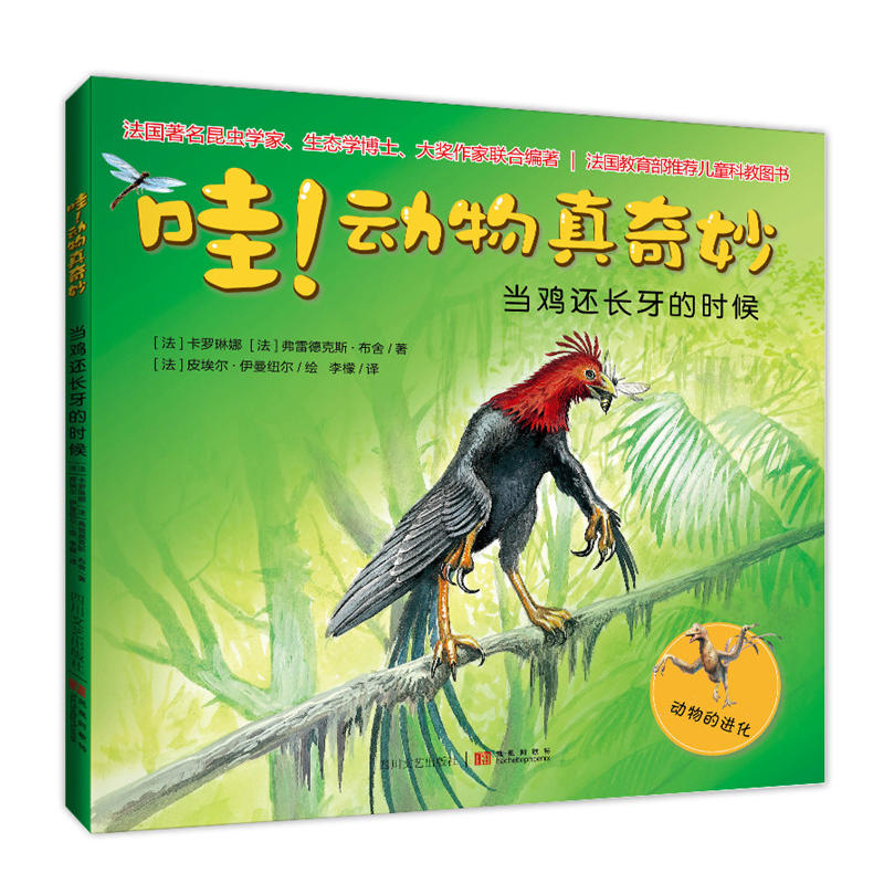 ۣ(dng):(dng)u߀Lĕr(sh)