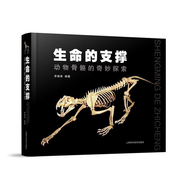 ������֧�Ρ���?ji��ng)������������̽�? onerror=