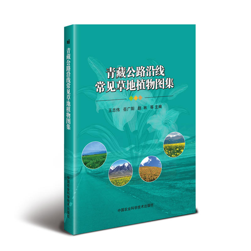 ��ع�·�ؾ���Ҋ�ݵ�ֲ��D��