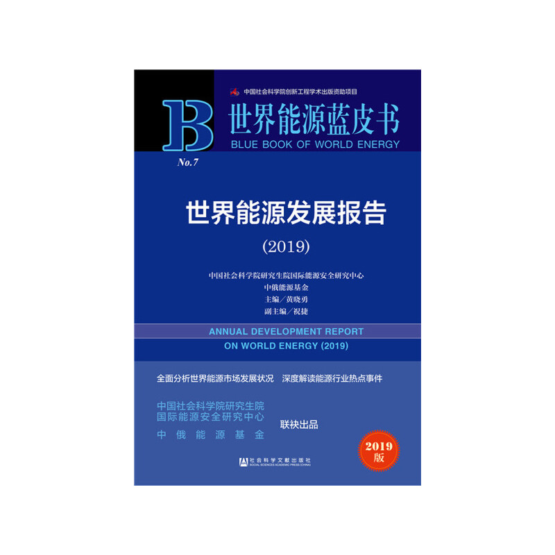 Դ{(ln)Ƥ(sh):Դl(f)չ(bo)棨2019