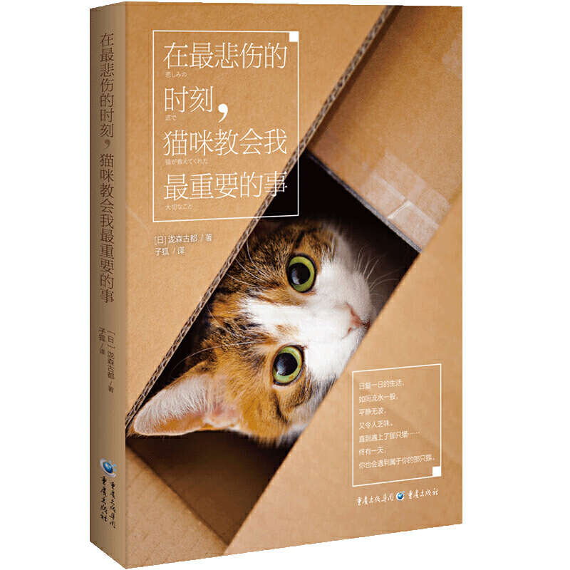 ĕr(sh)؈̕(hu)Ҫ