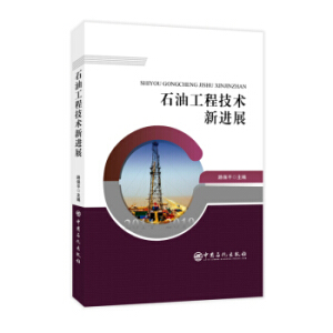 ʯ�͹��̼��g(sh��)���M(j��n)չ 2014-2019