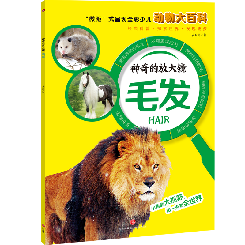 ����ķŴ��R��ë�l(f��)����΢�ࡱʽ�ʬF(xi��n)ȫ���ك���(d��ng)���ٿ���ȫ�桢����(zh��n)չ�F(xi��n)����Ą�(d��ng)�����������l(f��)���ӵ���֪���c̽���������