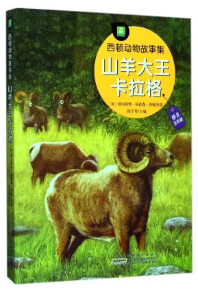 ɽ�����������