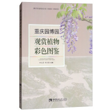 �ؑc�@���@�^�pֲ���ɫ�D�b