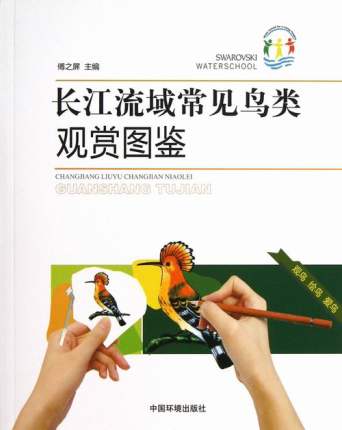 L(zhng)Ҋ(jin)B(nio)(li)^pDb