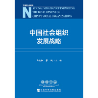 中國社會(huì)組織發(fā)展戰(zhàn)略