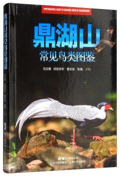 ɽҊ(jin)B(nio)(li)Db