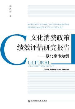 文化消費政策績效評估研究報告