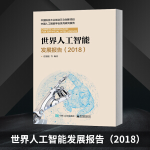 世界人工智能發(fā)展報告（2018）