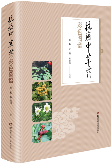 �����в�ˎ��ɫ�D�V