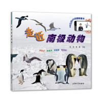 ���߽�����ϵ�С������߽��ϘO����