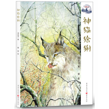 ؈pȻL(fng)⣬؄(dng)cȻC