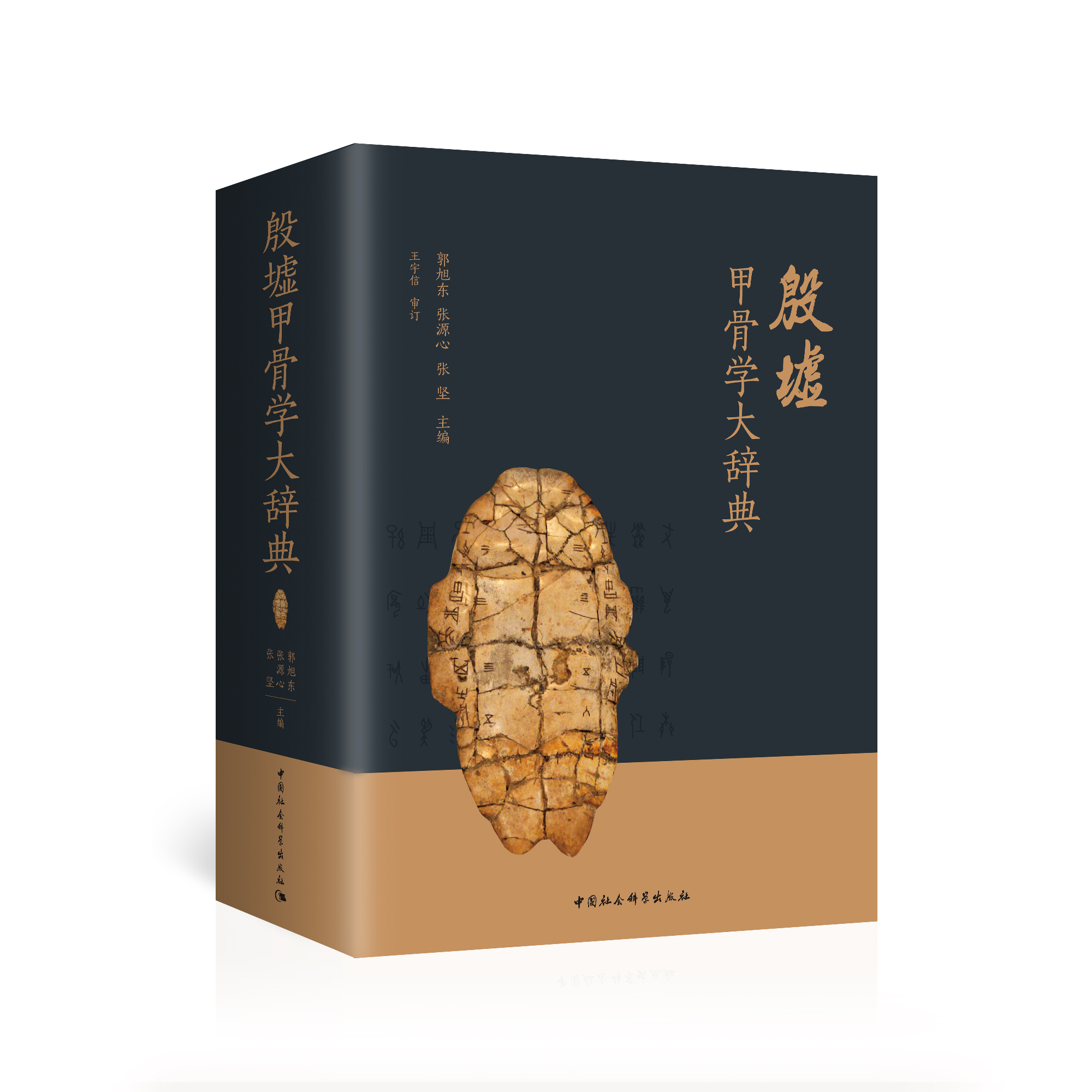 ����׹ǌW(xu��)���o��