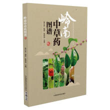 �X���в�ˎ�D�V