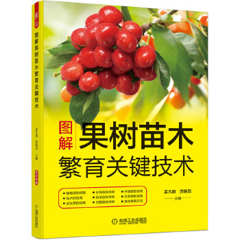 D(sh)ľP(gun)Ig(sh)12N(sh)޽ľ(sh)硢wǤľ