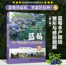果樹(shù)栽培修剪圖解叢書(shū)--藍(lán)莓豐產(chǎn)栽培整形與修剪圖解（第二版）