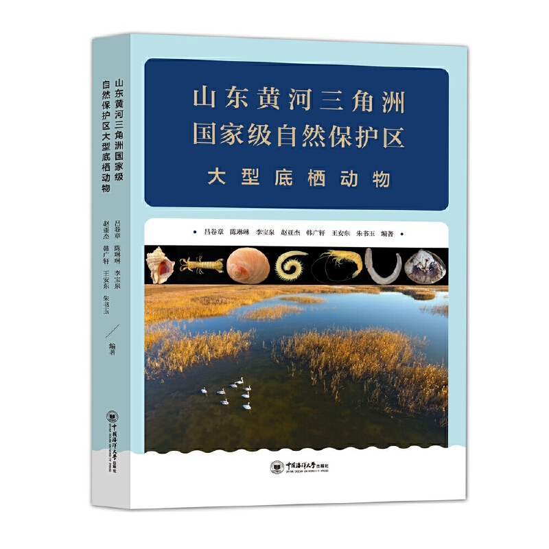 ɽ|SއҼȻo(h)^(q)͵ח(dng)