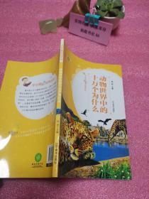 ��(d��ng)�������е�ʮ�f(w��n)��(g��)��ʲô