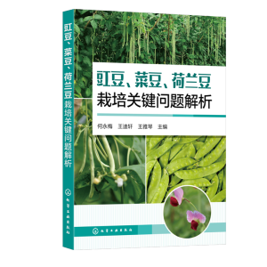 豇豆、菜豆、荷蘭豆栽培關(guān)鍵問(wèn)題解析