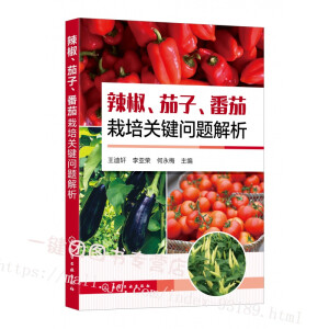 辣椒、茄子、番茄栽培關(guān)鍵問(wèn)題解析