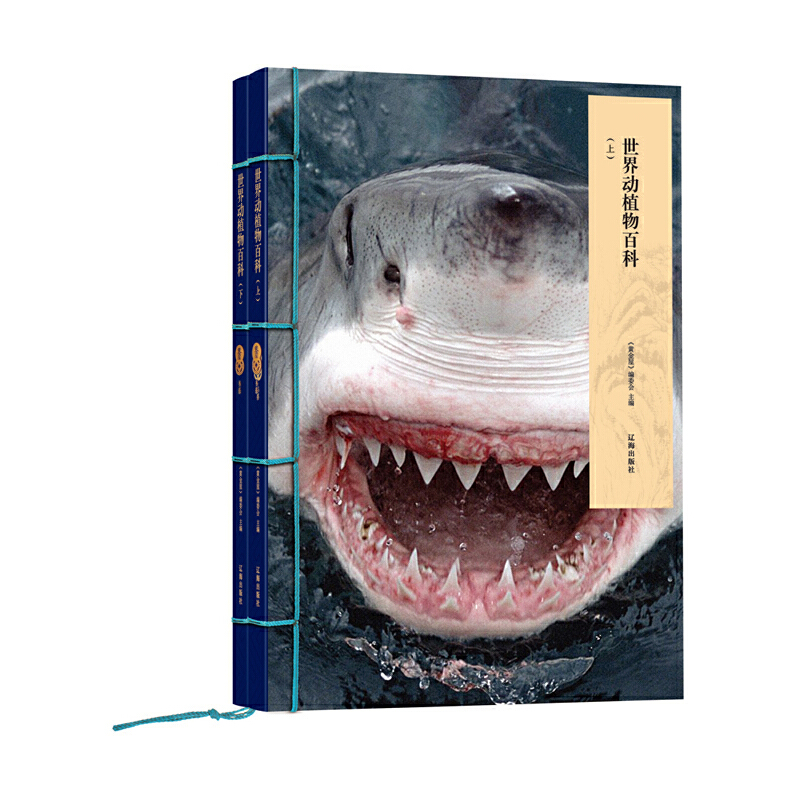 Sݣ(dng)ֲٿƣb2ԣUպװbXƼyD鸻FղͶYˣ