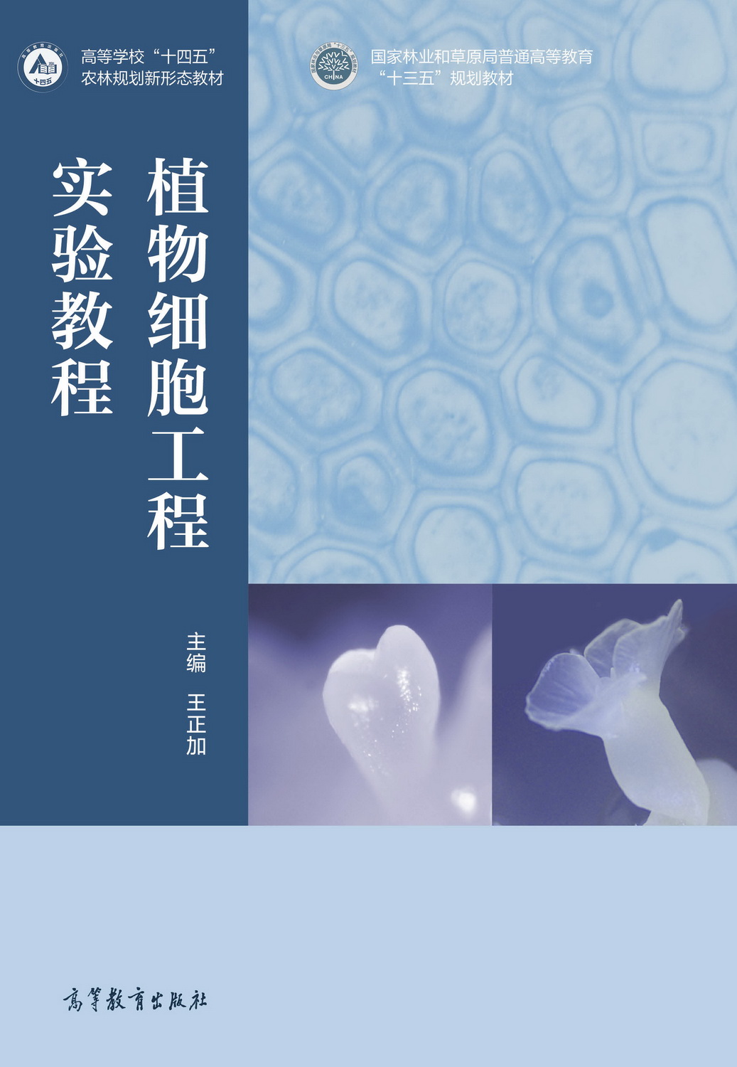 ֲ�：(x��)�����̌�(sh��)�(y��n)�̳�