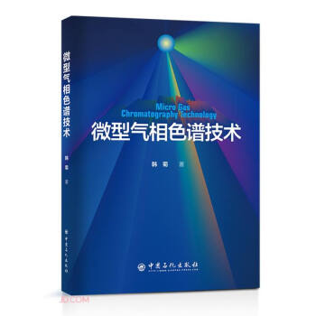 微型氣相色譜技術(shù)