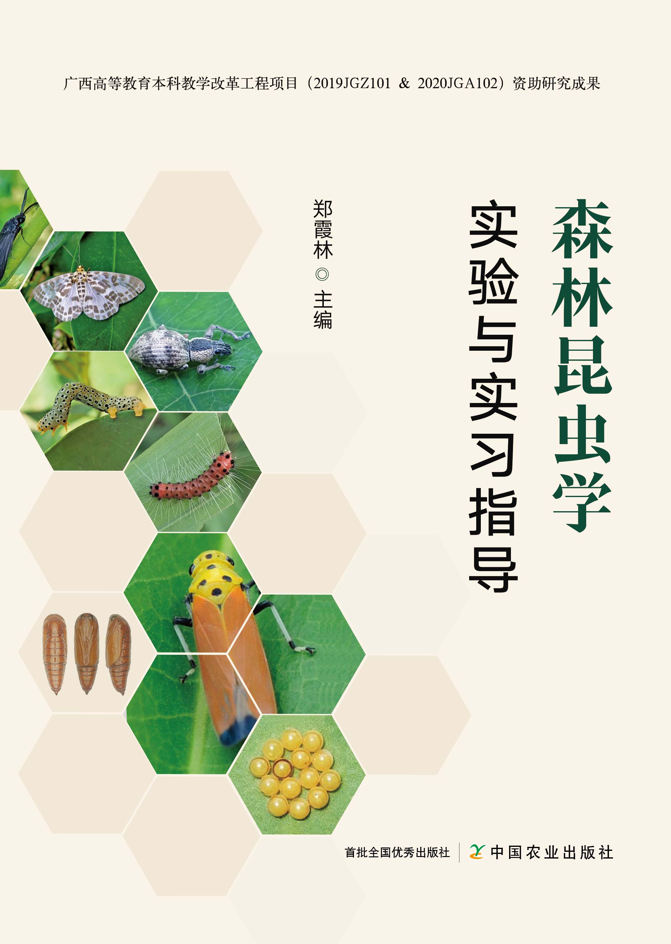 ɭx(chng)W(xu)(sh)(yn)c(sh)(x)ָ(do)