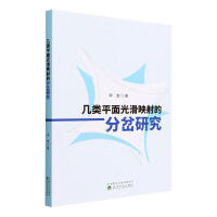 ���ƽ��⻬ӳ��ķֲ��о�