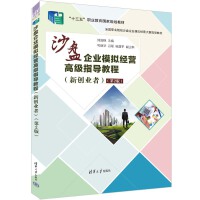 沙盤企業(yè)模擬經(jīng)營高級指導(dǎo)教程（新創(chuàng)業(yè)者）（第2版）