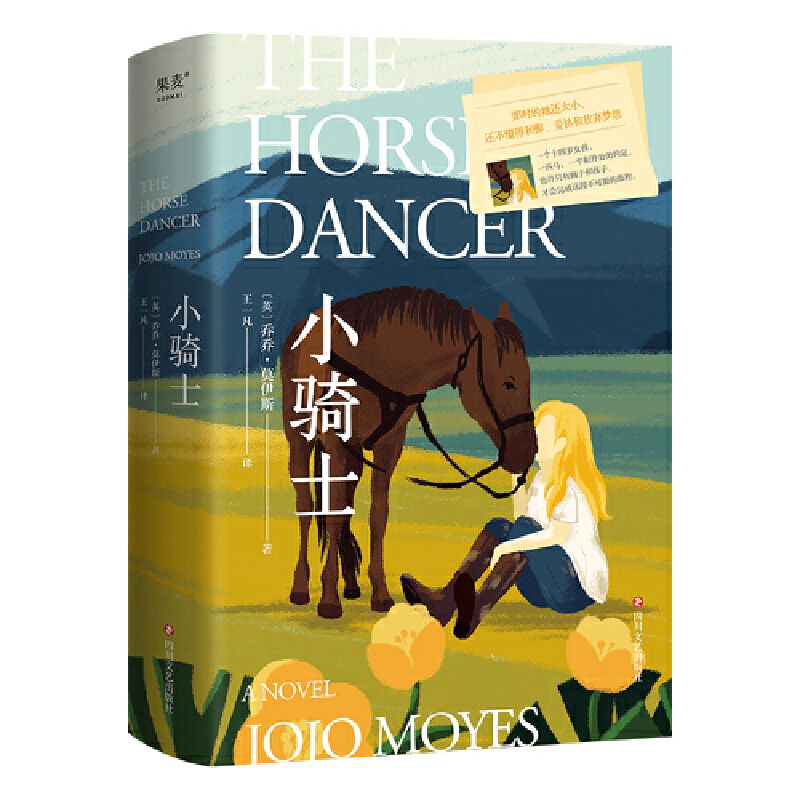 С�Tʿ���Ǖr����߀̫С��߀�������������ׅf(xi��)�ͷŗ����룩