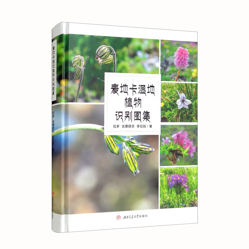 ���ؿ����ֲ���R(sh��)�e�D��