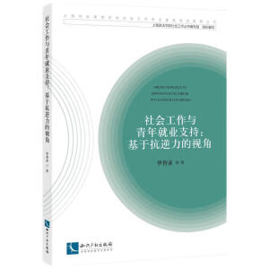 社會工作與青年就業(yè)支持:基于抗逆力的視角