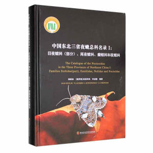 �Ї��|����ʡҹ�꿂�����