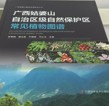 �V������ɽ���΅^(q��)��(j��)��Ȼ���o(h��)�^(q��)��Ҋֲ��D�V