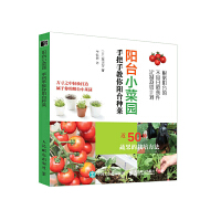 (yng)_(ti)Сˈ@  ְֽ(yng)_(ti)N