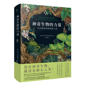 ؐ퓡ȻĐŲƌWWx߰ݡ˹f-ٸɵһ