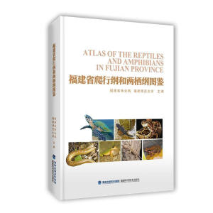 ����ʡ���оV�̓ɗ��V�D�b