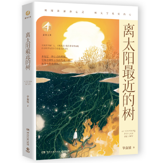 離太陽(yáng)最近的樹(shù)