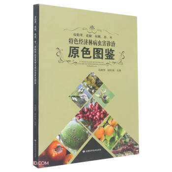 Ƥ̥ӡɫ(jng)(j)ֲx\