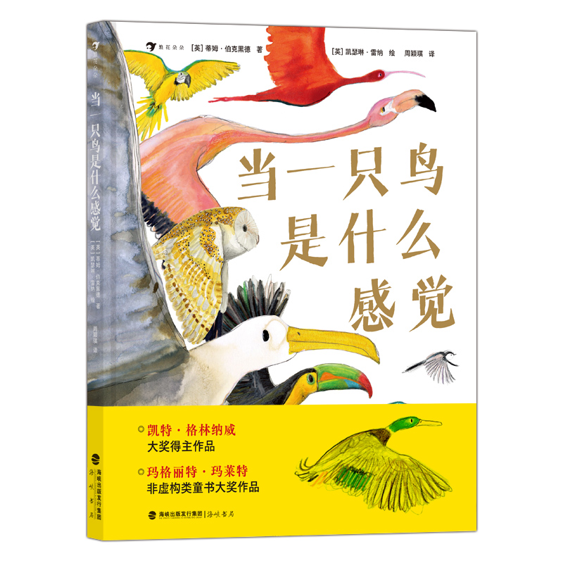 (dng)һֻBʲôX cHBW(xu)ҡ宋(jing)һ ̽B(d)صʽ