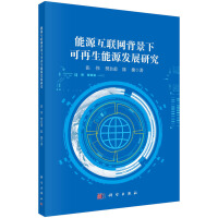 能源互聯(lián)網(wǎng)背景下可再生能源發(fā)展研究