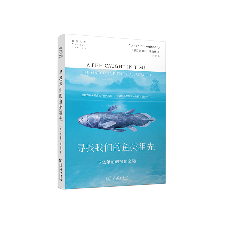 ҂~ȣă|ǰݻ֮i(ȻĎ(k))