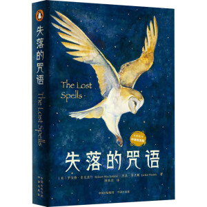 ʧ������Z