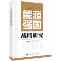 能源強國戰(zhàn)略研究